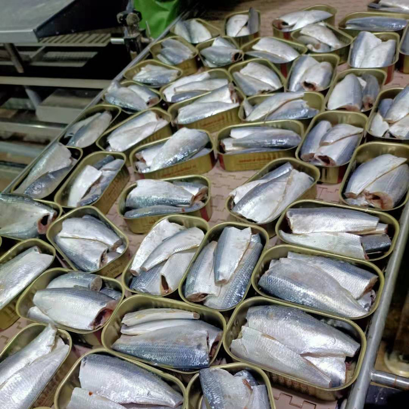 China Verified Supplier For OEM/ODM Available Canned Fish Products 125g*50tins Canned Sardines In Vegetable Oil