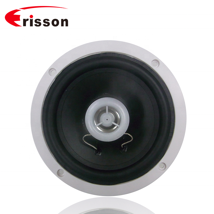 ERISSON OEM/ODM Manufacturer 5.25 inch Marine Audio Speaker  in Boat