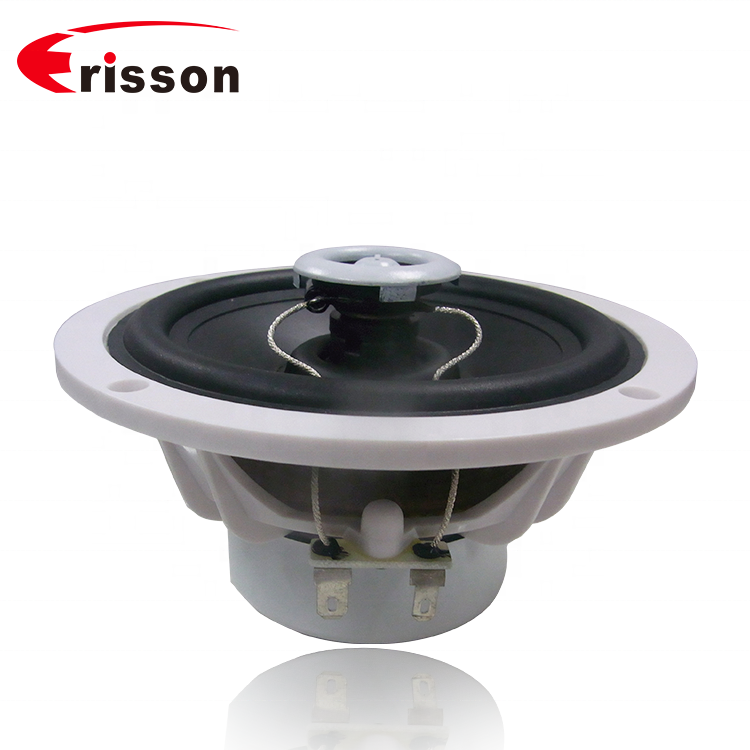 ERISSON OEM/ODM Manufacturer 5.25 inch Marine Audio Speaker  in Boat