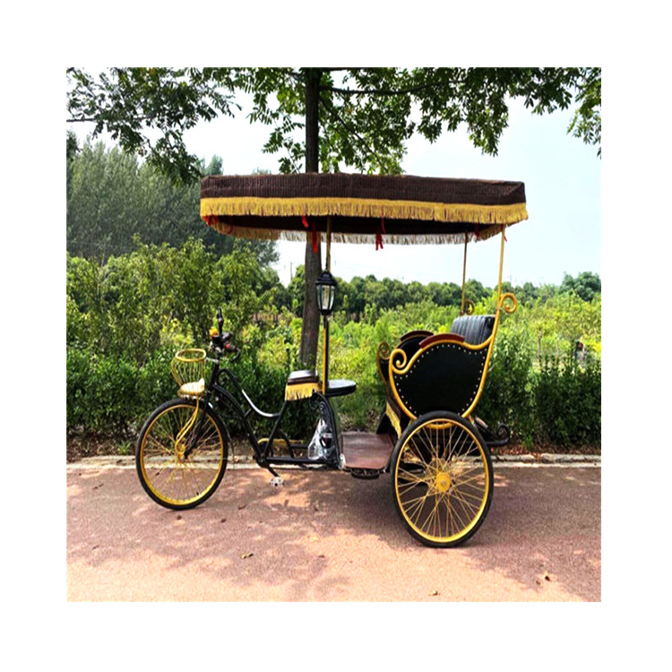 High Quality Electric Carriage Rickshaw Passenger Tricycle Pedicab Rickshaw Bike Pedal Tricycles Cargo 3 Wheel For Sale