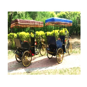 High Quality Electric Carriage Rickshaw Passenger Tricycle Pedicab Rickshaw Bike Pedal Tricycles Cargo 3 Wheel For Sale