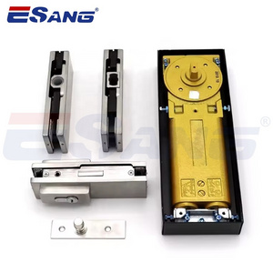 ESANG Commercial 8-12Mm Thickness Glass Door Closer Stainless Steel Floor Spring For Glass Door