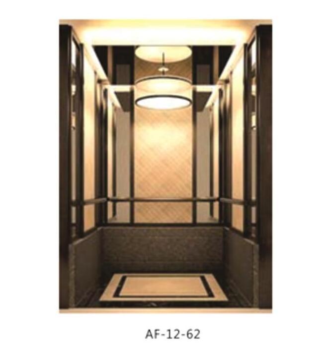 Hot Sale Lift Elevators Outdoor Passenger Elevator Personnel Lift Luxury Villa Marble Steel Stainless House Graphic