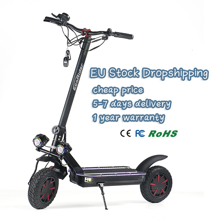 Ecorider EU/US Warehouse E4-9 Adult 2 Wheels dual motor Foldable fat tire electric scooter