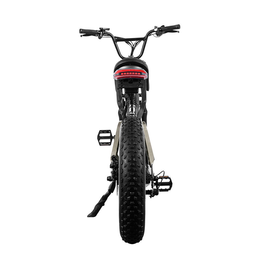 EU/US E-bike Mountain Bicycle  Double Suspension 750W 2000w Dual Motor Retro Disc Fat Tire Electric Bike