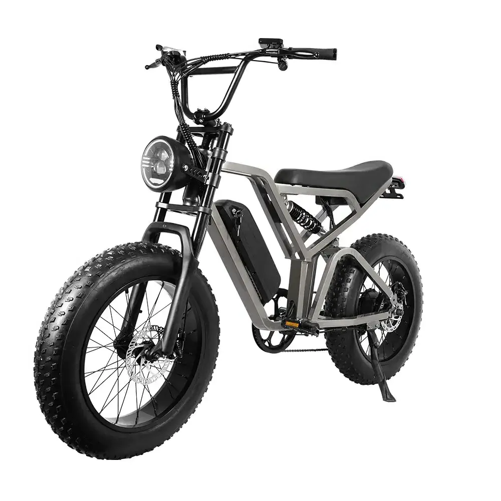 EU/US E-bike Mountain Bicycle  Double Suspension 750W 2000w Dual Motor Retro Disc Fat Tire Electric Bike