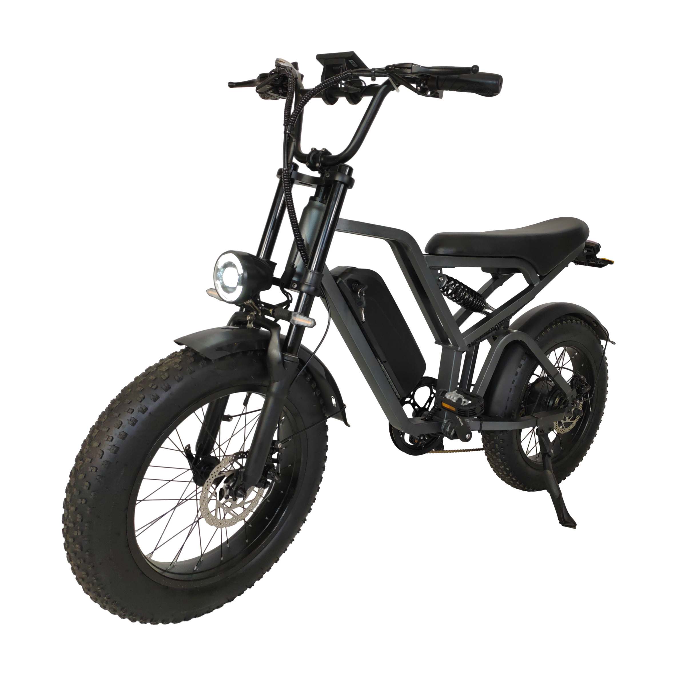 EU/US E-bike Mountain Bicycle  Double Suspension 750W 2000w Dual Motor Retro Disc Fat Tire Electric Bike