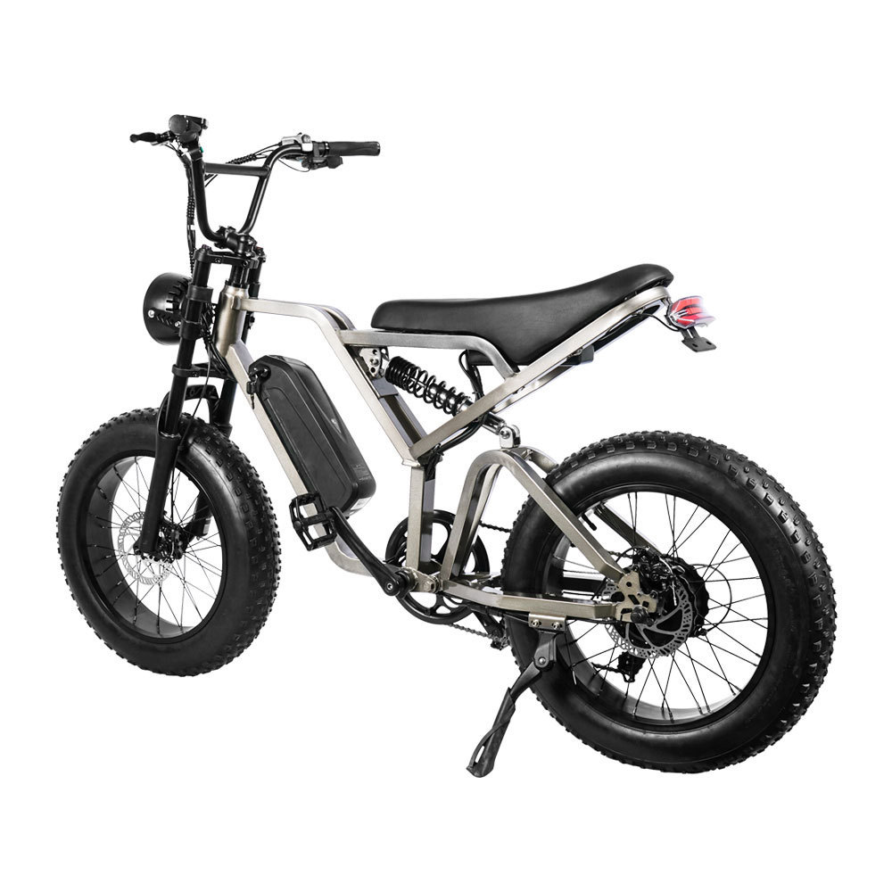 EU/US E-bike Mountain Bicycle  Double Suspension 750W 2000w Dual Motor Retro Disc Fat Tire Electric Bike