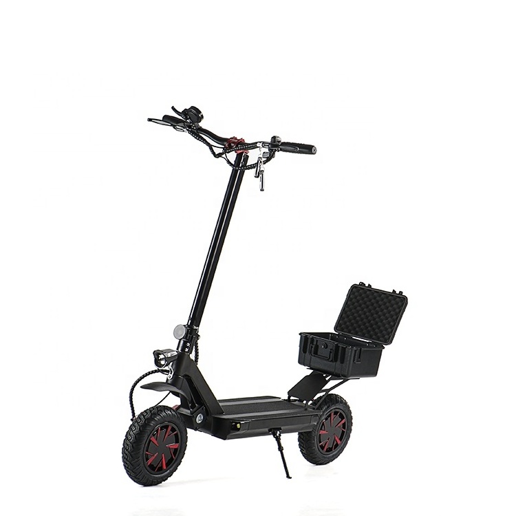 Ecorider Patinete Electrico Adults Powerful Foldable Scooter 3600W Trottinette Electrique with Double Drive Electric Scooters Ce