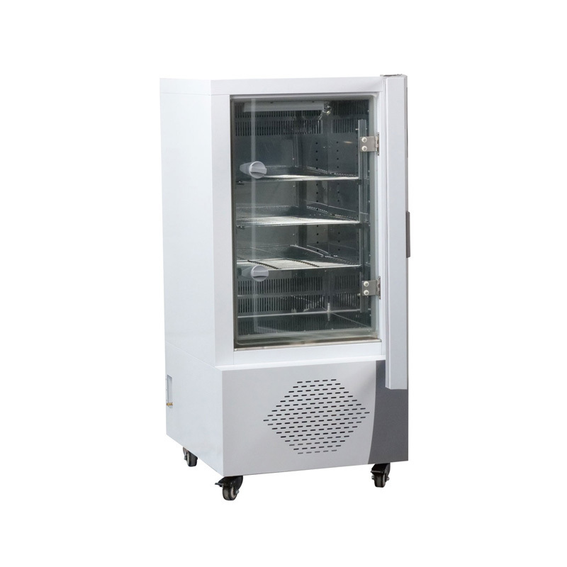 Esebio100L150L 250L Constant temperature and humidity incubator for Lab