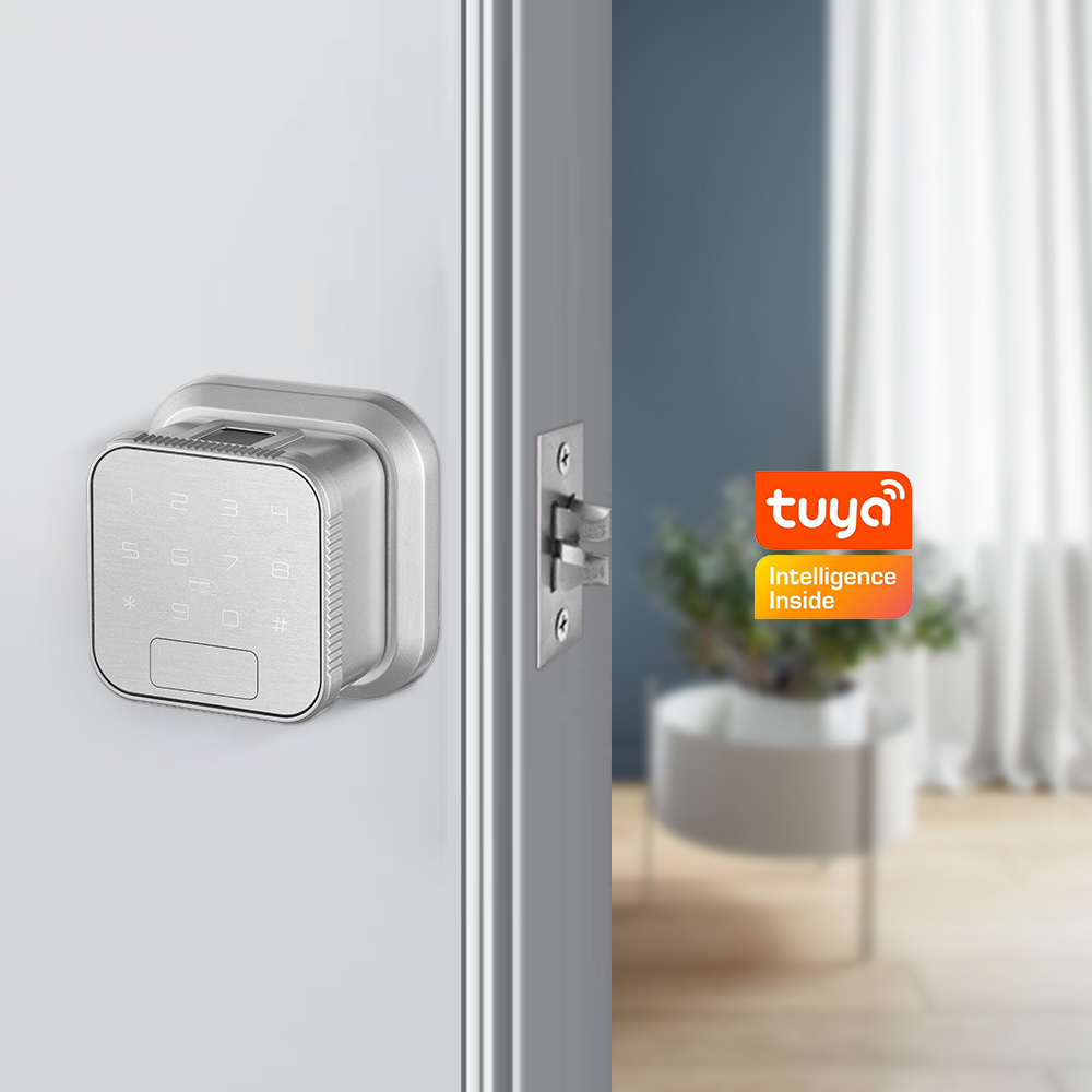 Eseye Safety Fingerprint Digital Deadbolt with Tuya App Keypad Home Fingerprint Smart Door Lock