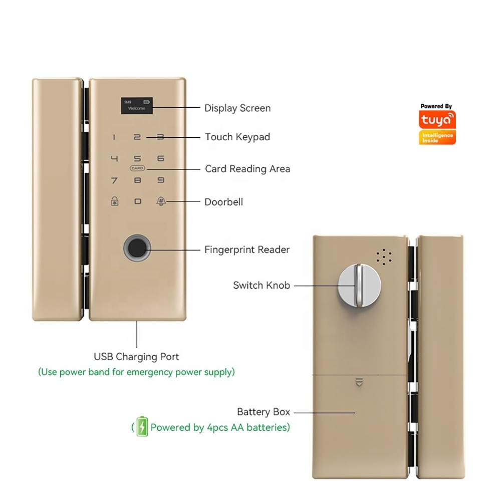 Luxury Keyless Biometric Fingerprint Password Rifd Digital Door Lock for Double Frameless Glass Door