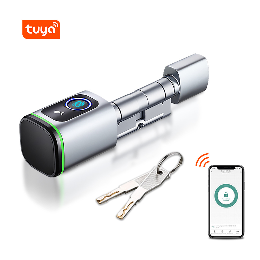 Eseye HOT Sale Audio Tuya Zinc Alloy Shipping Container Secureye Password Key TTlock Handle Fingerprint Lock Keyless Door Lock