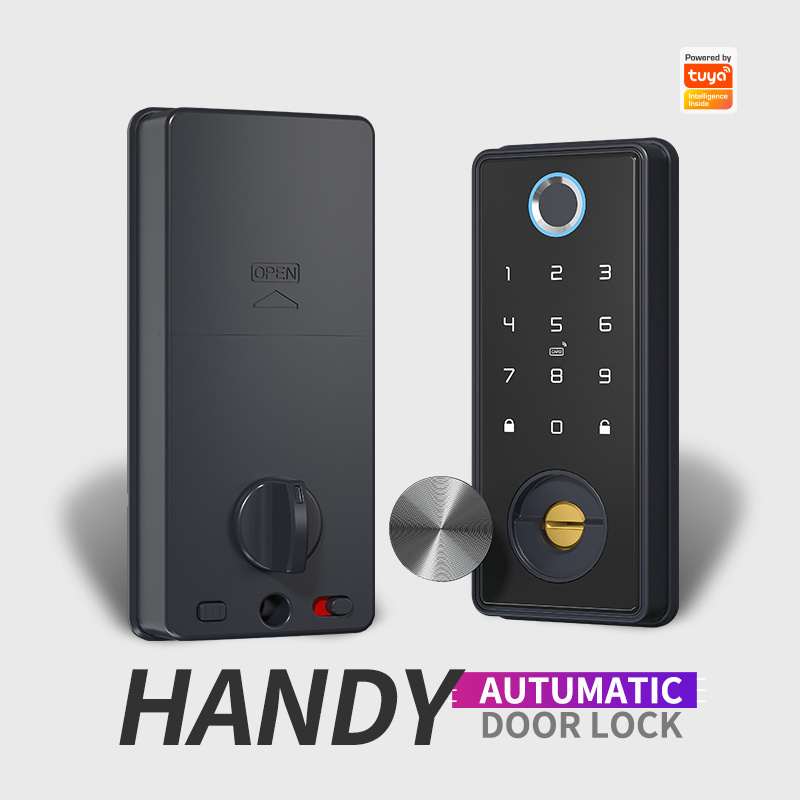 Eseye Wholesale High Quality High Security Anti Theft Smart Door Lock Tuya Wifi Biometric Smart Ttlock Electronic Lock