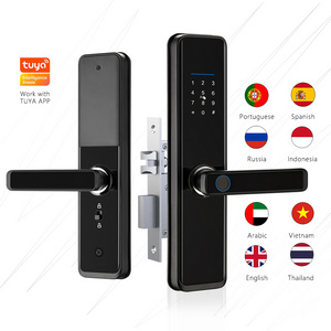 Eseye Smart Heat Resistant Security Fingerprint Electronic Door Locks For Homes Thermostability Remote Control Door Smart Lock