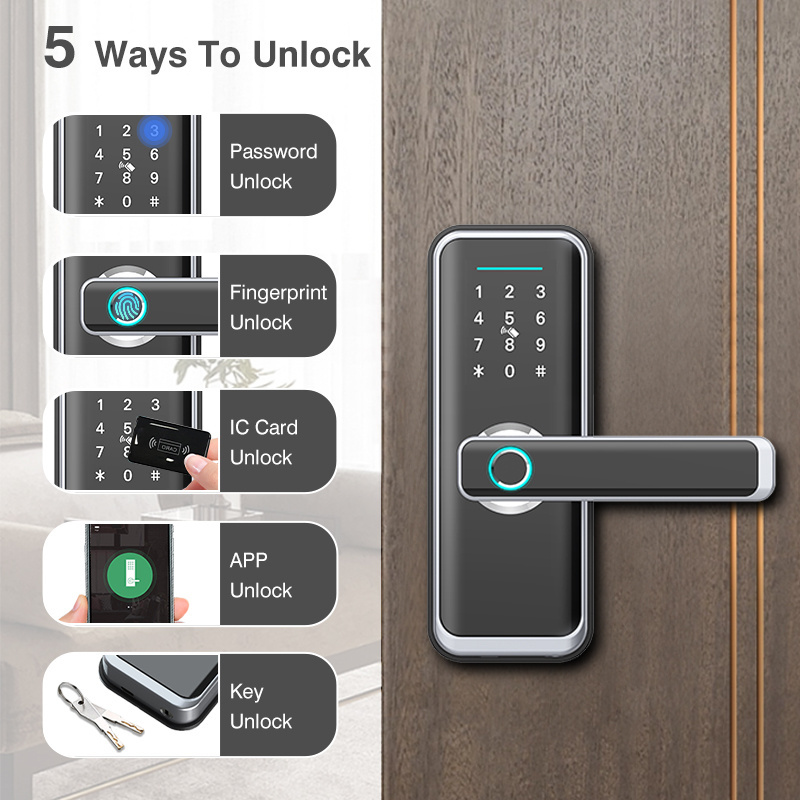 Eseye Oem Odm Tuya App Finger Print Intelligent Security Digital Smart Tt Lock Smart Lock Home Door Lock With Wifi