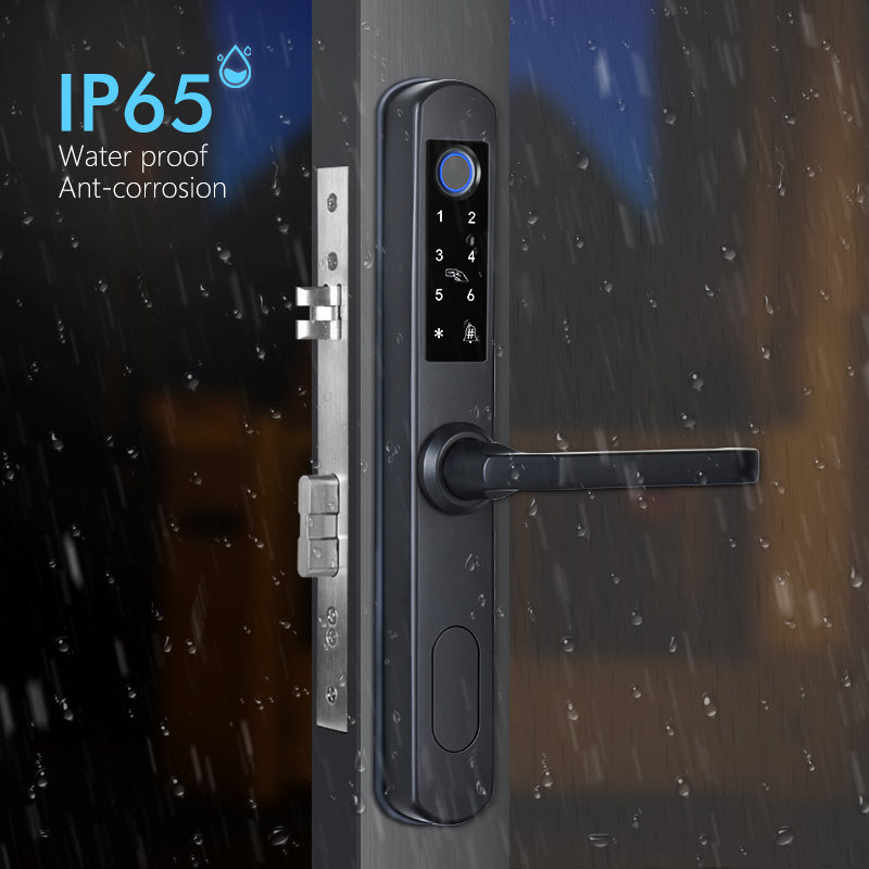 Eseye Tuya Security Waterproof Intelligent Fingerprint Password Recognition Aluminum Door Glass Door Intelligent Lock