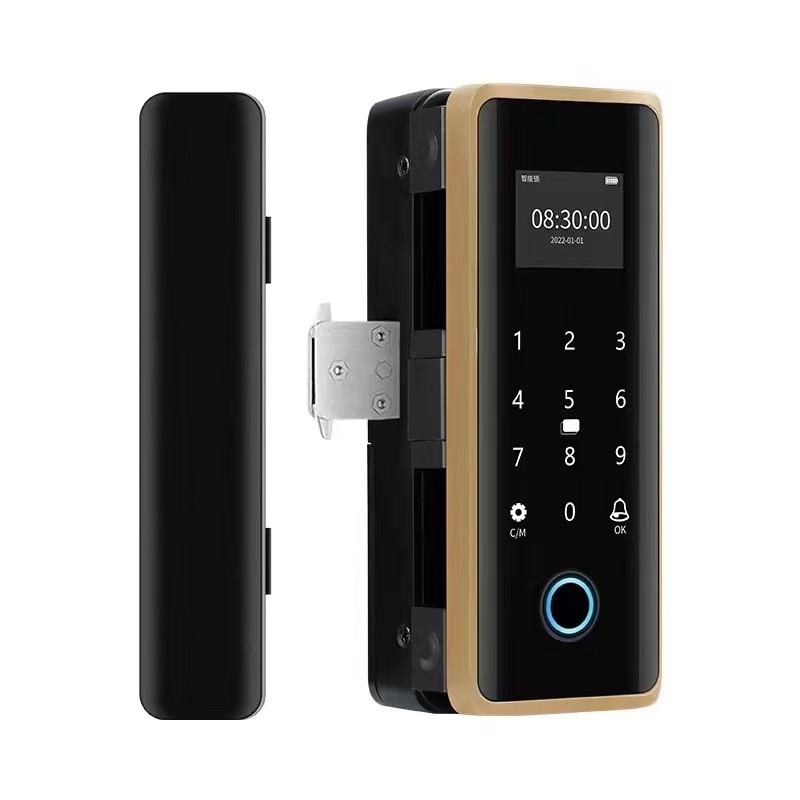 Eseye TUYA WIFI App Fingerprint Smart Glass Door Lock with Keys Intelligent Biometric Digital Doorlock for Sliding Glass Do