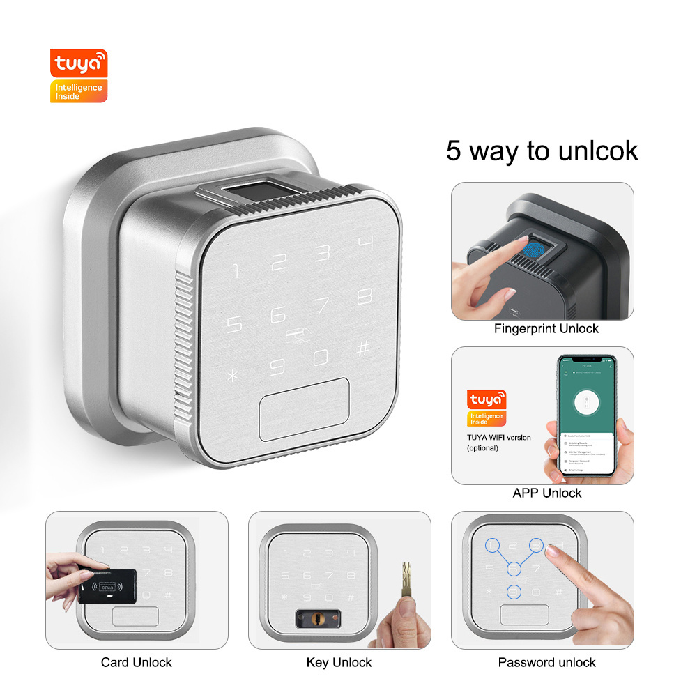 Eseye Safety Fingerprint Digital Deadbolt with Tuya App Keypad Home Fingerprint Smart Door Lock