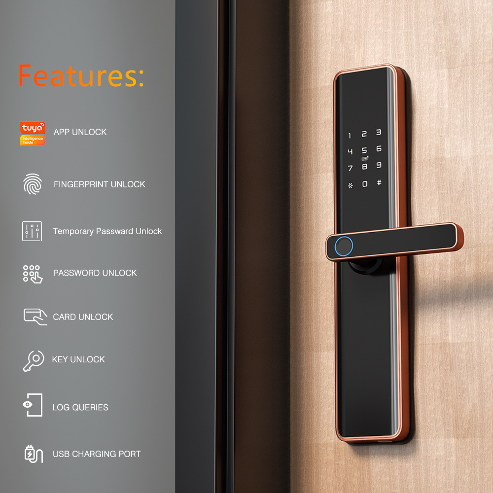 Eseye Keyless Door Finger Fingerprint Entry Electric Ttlock Smart Alexa Gate Locks Wifi Home Intelligent Lock