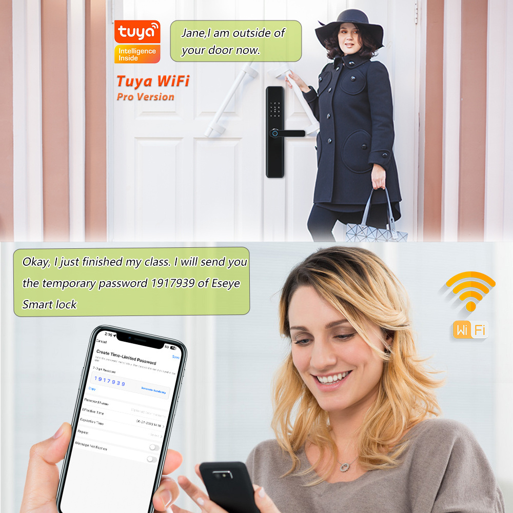 Eseye Keyless Door Finger Fingerprint Entry Electric Ttlock Smart Alexa Gate Locks Wifi Home Intelligent Lock