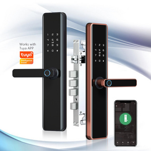 Eseye Keyless Door Finger Fingerprint Entry Electric Ttlock Smart Alexa Gate Locks Wifi Home Intelligent Lock