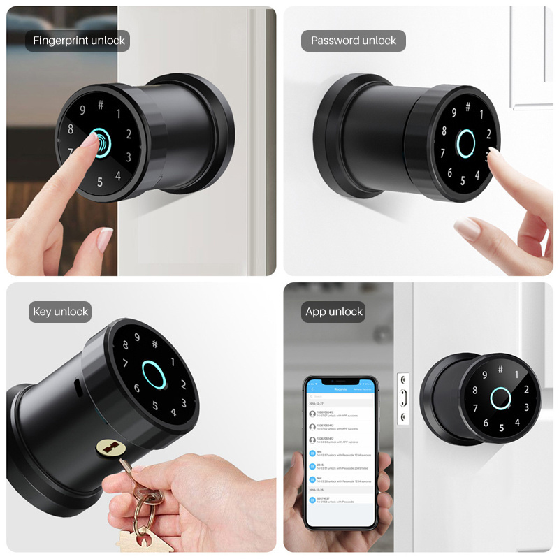 Eseye Magnetic High Quality Wifi App Code Intelligent Front Door Fingerprint Smart Gate Lock