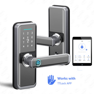 Eseye Home Apartment TT lock APP Smart Lock Waterproof Fingerprint Biometric Keypad Digital door Lock