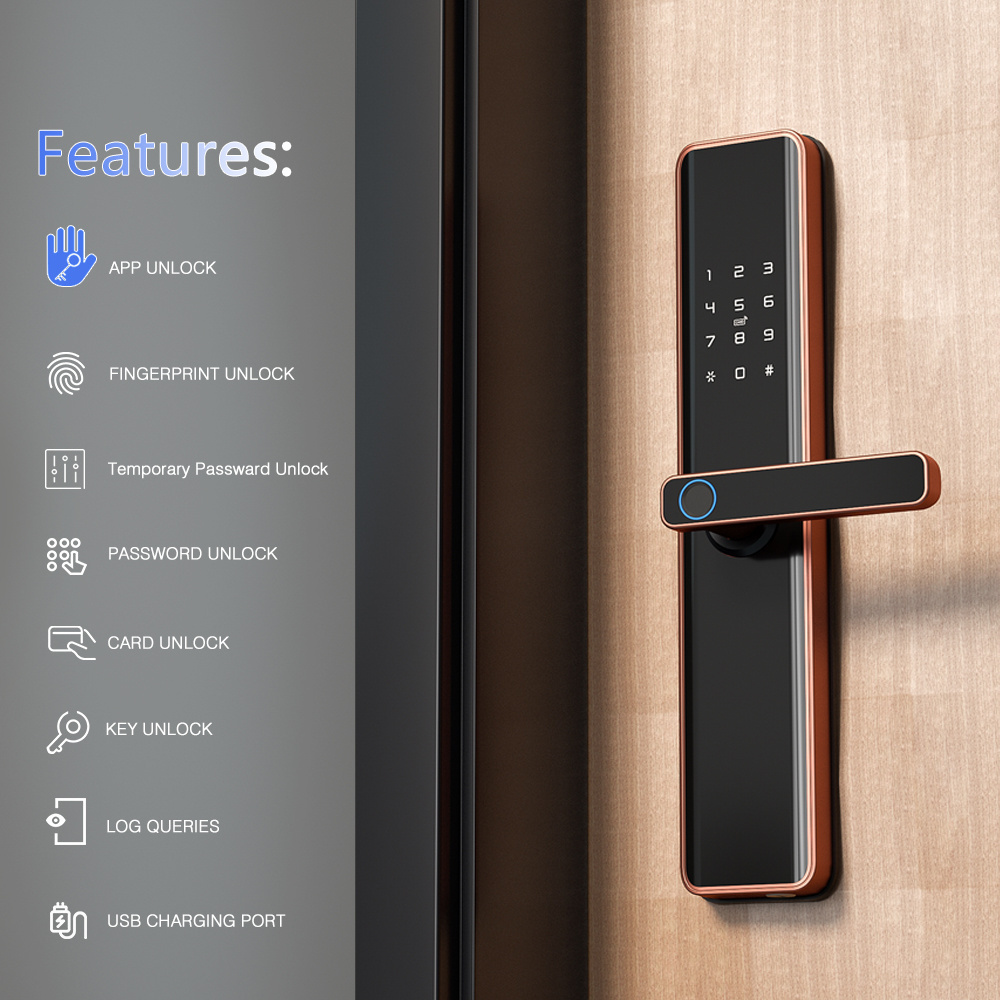 Eseye High Quality TTlock App Control 6068 Security Mortise Door Locks for Wooden Digital Fingerprint Door Lock