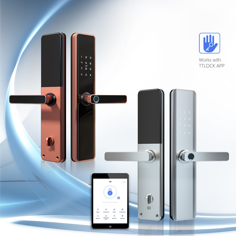 Eseye High Quality TTlock App Control 6068 Security Mortise Door Locks for Wooden Digital Fingerprint Door Lock