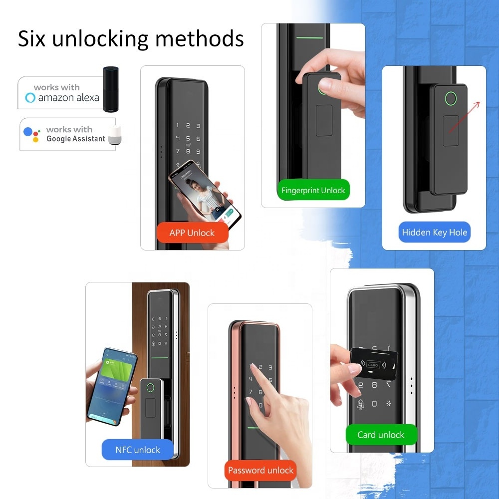 Eseye Waterproof OEM Lock Factory Electric Door Lock Smart TTLock APP Digital Biometric Home Apartment Office Door Lock