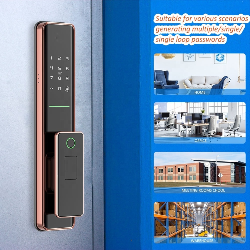 Eseye Waterproof OEM Lock Factory Electric Door Lock Smart TTLock APP Digital Biometric Home Apartment Office Door Lock