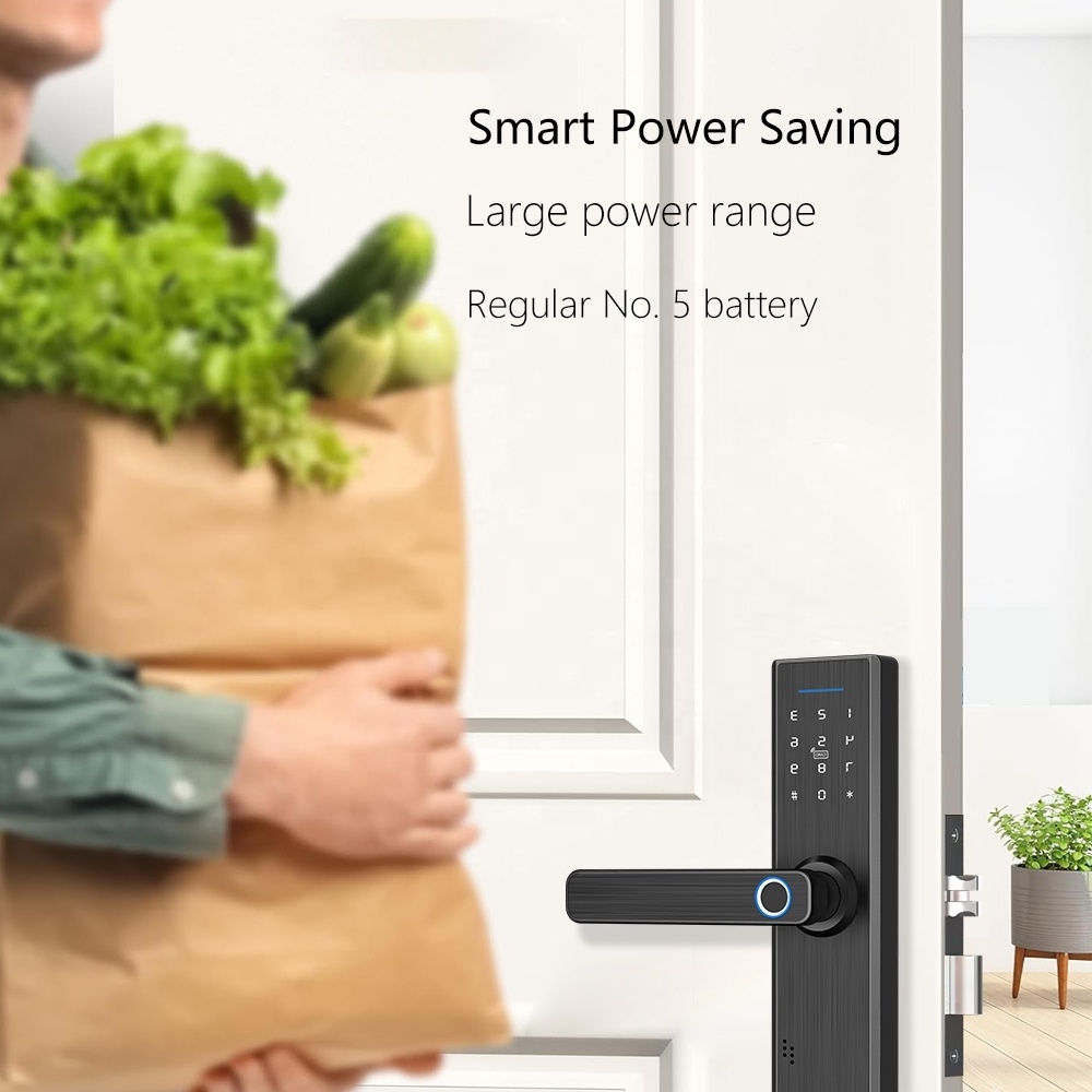 Eseye 2024 New Arrival Keyless Intelligent Electronic Digital Fingerprint Smart Door Lock With TTlock App