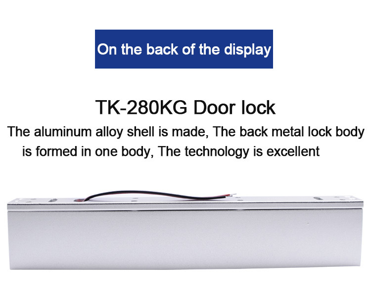 Eseye Good Price 280KG Smart Hidden Magnetic Lock Magnetic Door Lock With Remote