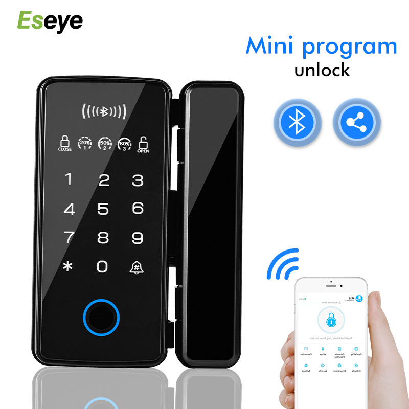 Automatic Biometric Fingerprint Frameless Sliding Electric Smart Glass Door Lock