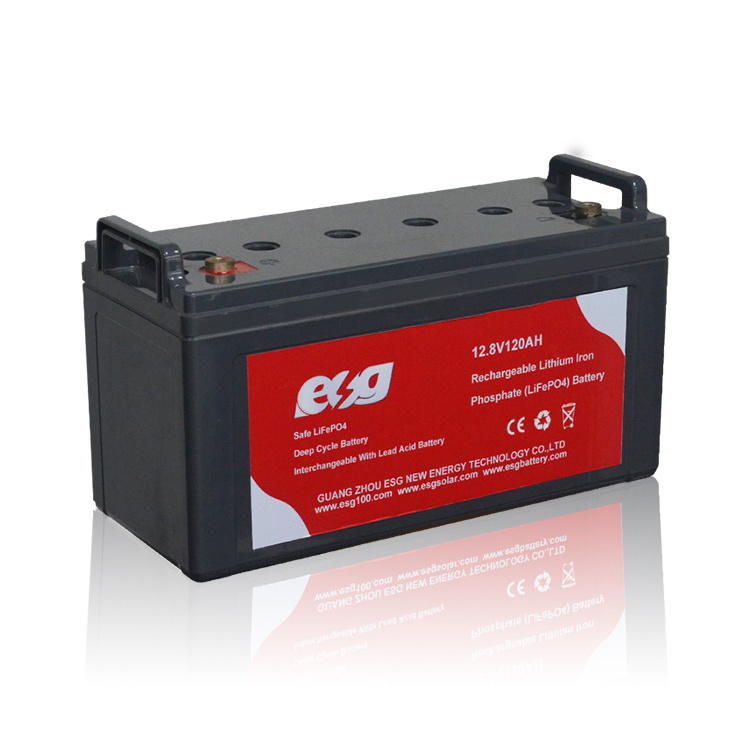 ESG Custom Lifepo4 Battery 12V 100Ah 200Ah 300Ah 400Ah 100 300 200 Ah Deep Cycle 12.8V 24V 12V Lithium Ion Battery Pack With Bms