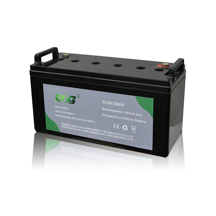 ESG Custom Lifepo4 Battery 12V 100Ah 200Ah 300Ah 400Ah 100 300 200 Ah Deep Cycle 12.8V 24V 12V Lithium Ion Battery Pack With Bms