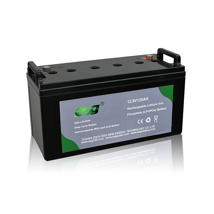 ESG Custom Lifepo4 Battery 12V 100Ah 200Ah 300Ah 400Ah 100 300 200 Ah Deep Cycle 12.8V 24V 12V Lithium Ion Battery Pack With Bms