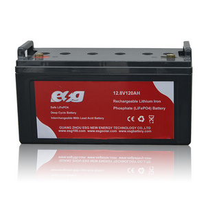 ESG Custom Lifepo4 Battery 12V 100Ah 200Ah 300Ah 400Ah 100 300 200 Ah Deep Cycle 12.8V 24V 12V Lithium Ion Battery Pack With Bms