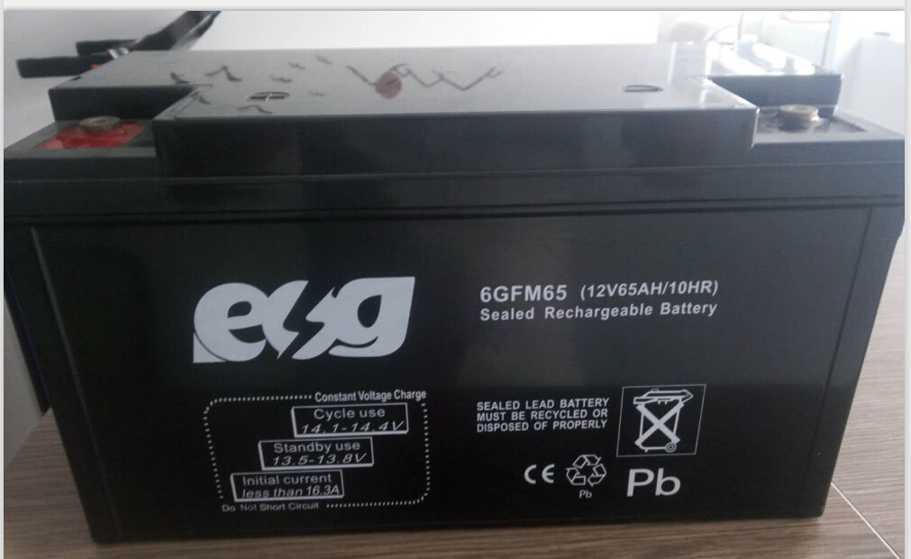 ESG 12V24AH 12v26Ah 40AH 50AH 60AH 65AH Maintenance free  Lead Acid  Batteries Carbon Dry Charger AGM Battery Price