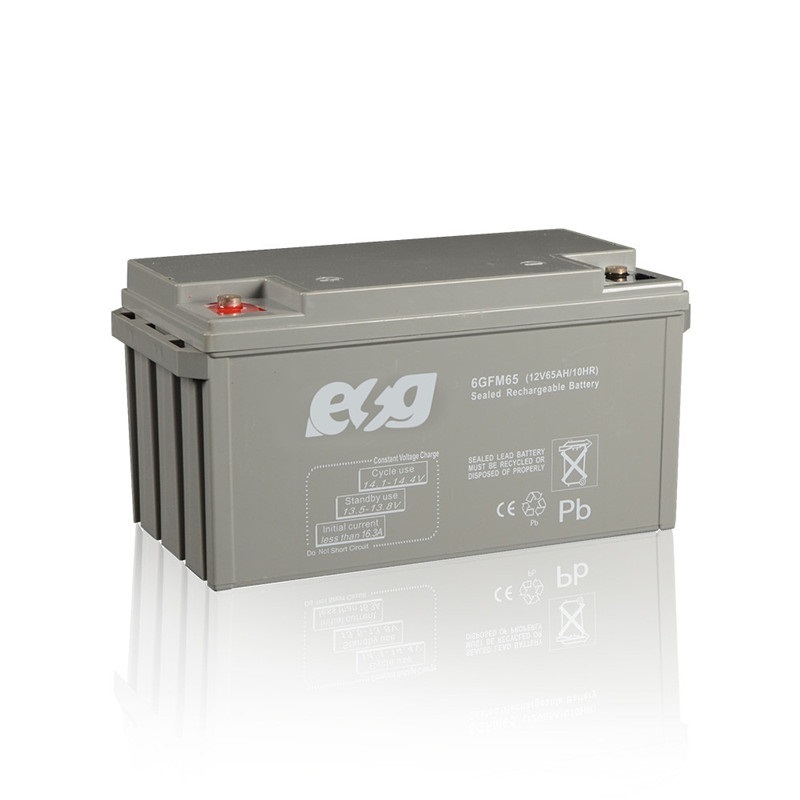 ESG 12V24AH 12v26Ah 40AH 50AH 60AH 65AH Maintenance free  Lead Acid  Batteries Carbon Dry Charger AGM Battery Price