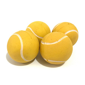 Pet Toy Tennis Ball Dog Throwing Interactive Dog Training Balls