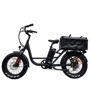 Power Bafang 48V500W Rear Drive Electric  Bike Adult Trike 2 Wheel E Bike  20 Inch E Bike Carry Cargo Electric Bicycle