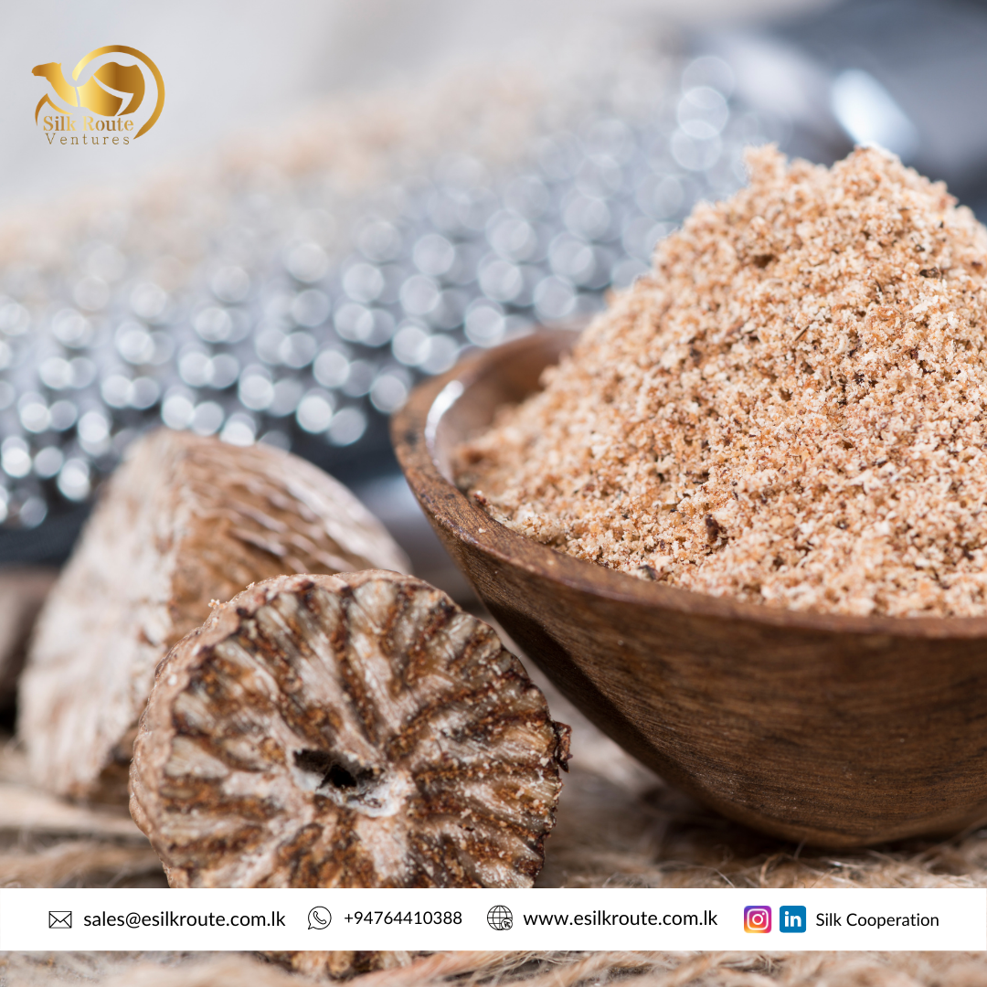 100% Pure Natural Organic Sri Lanka Dried Whole Grade Long Nutmeg without Shell at Wholesale Price