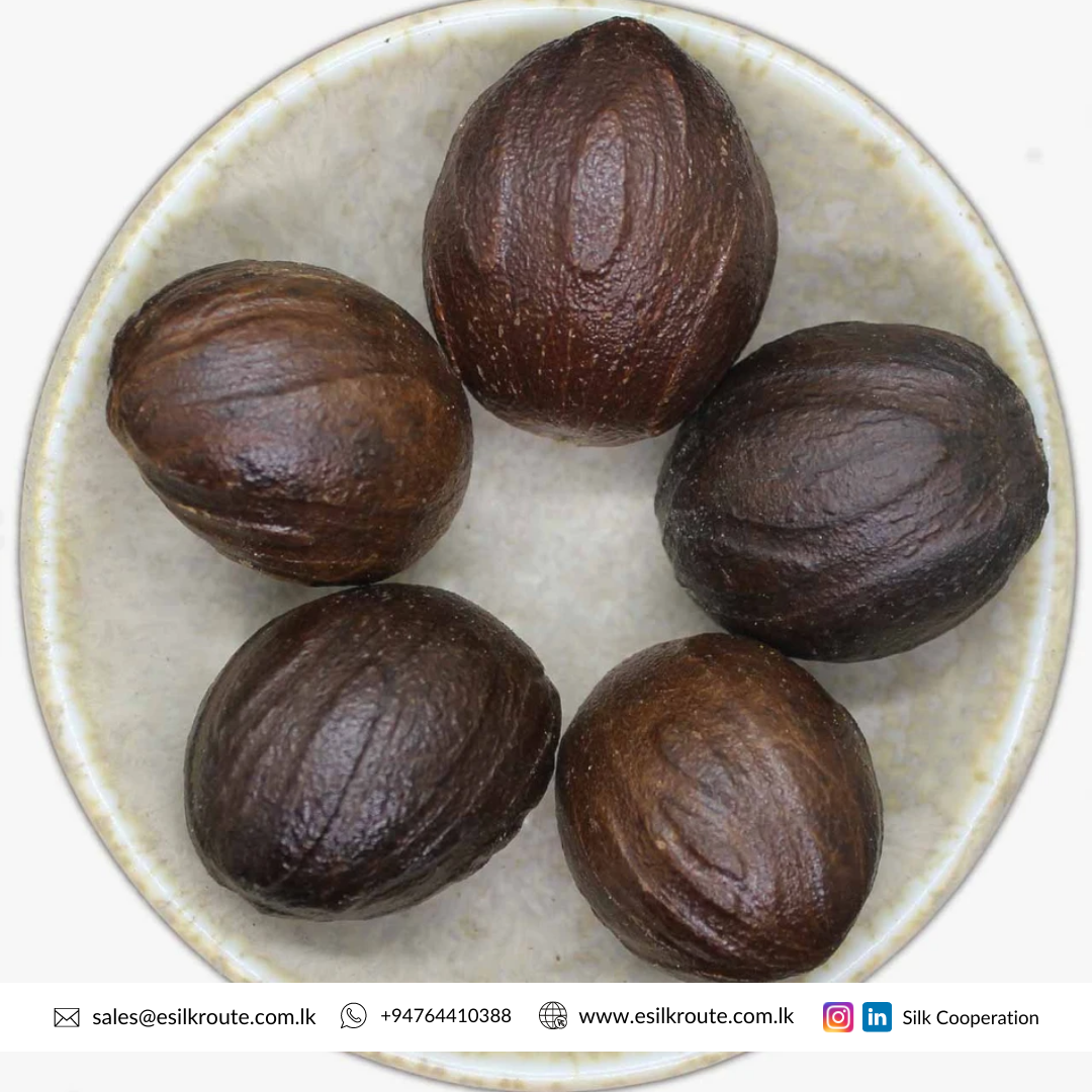 Single and Herbs Spices Dried Natural Organic Sri Lanka Pure Fresh Whole Grade Nutmeg with Shell for Sale