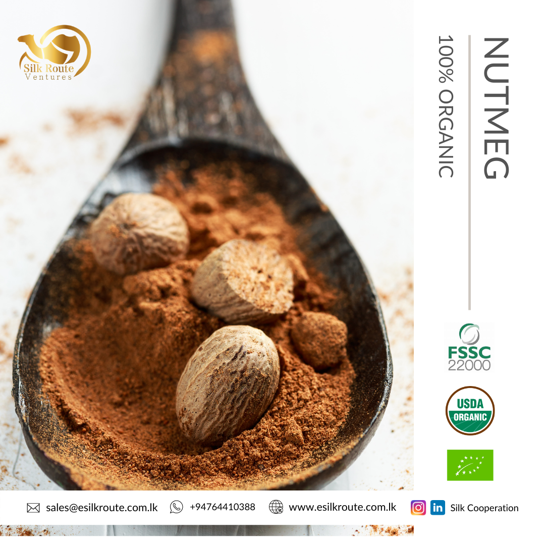 100% Pure Natural Organic Sri Lanka Dried Whole Grade Long Nutmeg without Shell at Wholesale Price