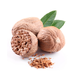 High Quality Dried 100% Premium Organic Nutmeg Whole without Shell at Affordable Price - Culinary Mastery