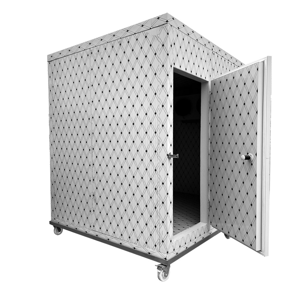 Cooling Capacity 2Tons mobile Portable cold storage room