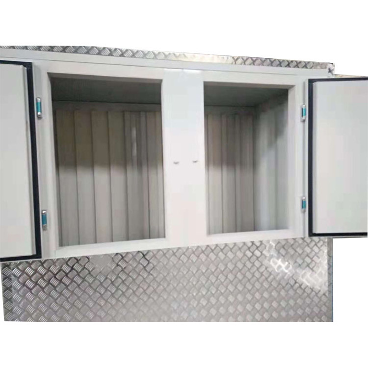 two doors professional cold room for ice bag sale