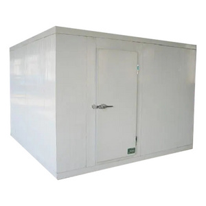 Cooling Capacity 2Tons mobile Portable cold storage room